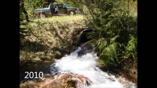Fish Passage -   Surveyor Creek