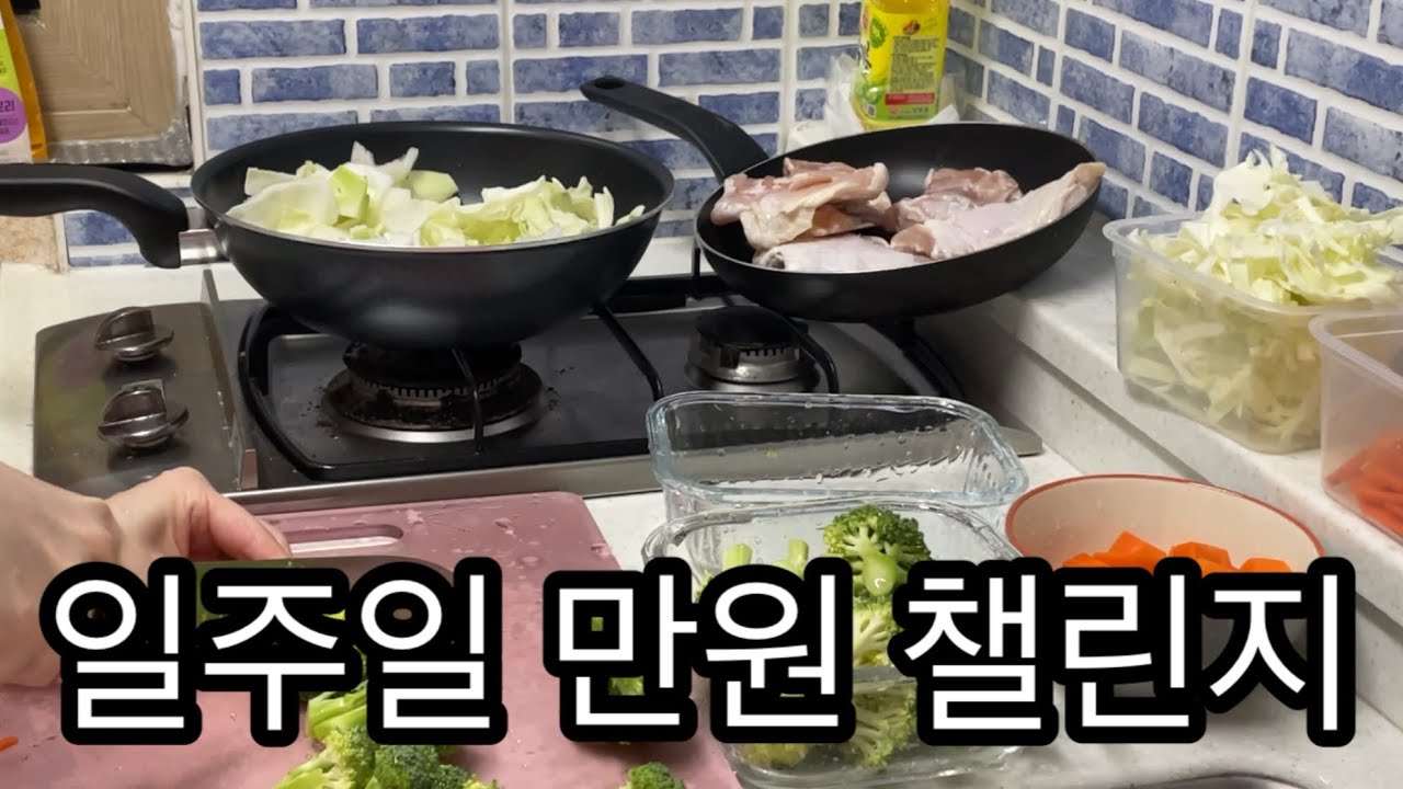 고물가 시대에 양배추로 살아남는 방법