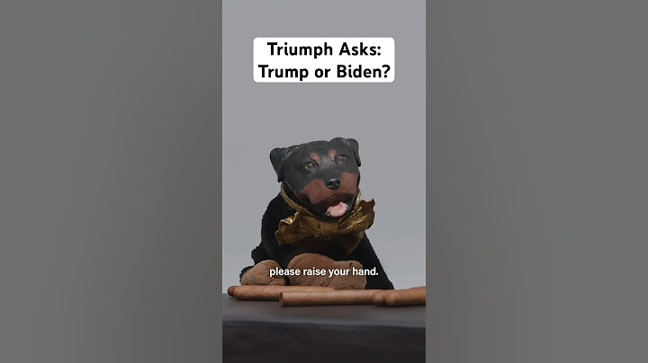 We're all having fun! #dailyshow #biden #trump