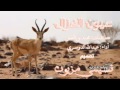 شيلة عيون الغزال أداء عبدالله الدوسري