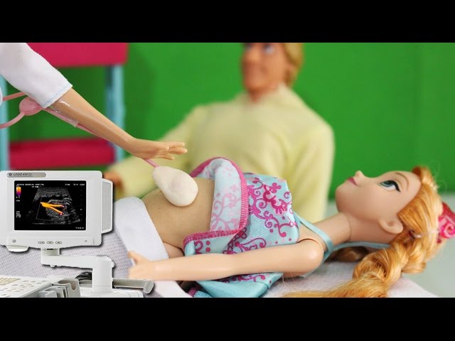 Pregnant doll (Barbie) and her family - Julia Silva 