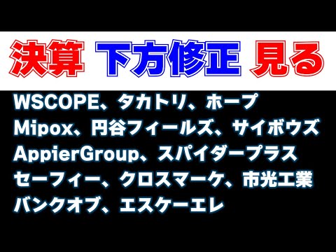決算見る　WSCOPE、タカトリ、ホープ、Mipox、円谷フィールズ、サイボウズ、AppierGroup、スパイダープラス、セーフィー、クロスマーケ、市光工業、バンクオブ、エスケーエレ