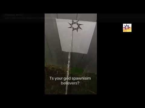 O Chezble Your Spawnism Server Got Taken Down