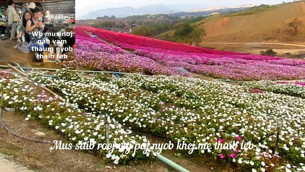 Xa xov THIAB lus pov thawj,02/25/2026