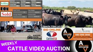 APACHE VIDEO CATTLE AUCTION | Weekly Video Marketing Auction #RanchDirect #LoadLots | 6.17.26