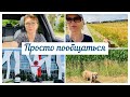 Не допустили к экзаменам 😭😭 Гуляю и общаюсь 🥰🐕🌾🌝🌻 Тайсон маленький телёнок 😅🐕🐕🐕