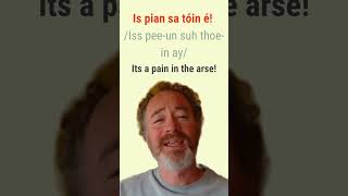 How to say It&#39;s A Pain In The Arse in Irish. #bitesizeirish