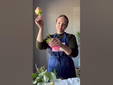Stripping flowers test / Тестируем "шиподер" для цветов - YouTube