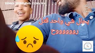 سيزار و القطة،عواقب و أخطاء ترك الكلب يواجه القطة