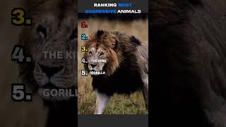 Ranking The MOST Aggressive Animals 😳🐾 #1 Will Surprise You
