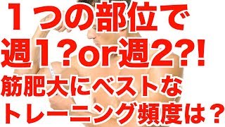 【１つの部位は週1?or週2以上?!】筋肥大・筋力アップに最も効率のいいトレーニング頻度は？