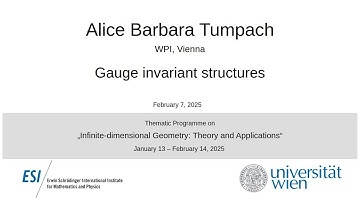 Barbara Tumpach - Gauge invariant structures