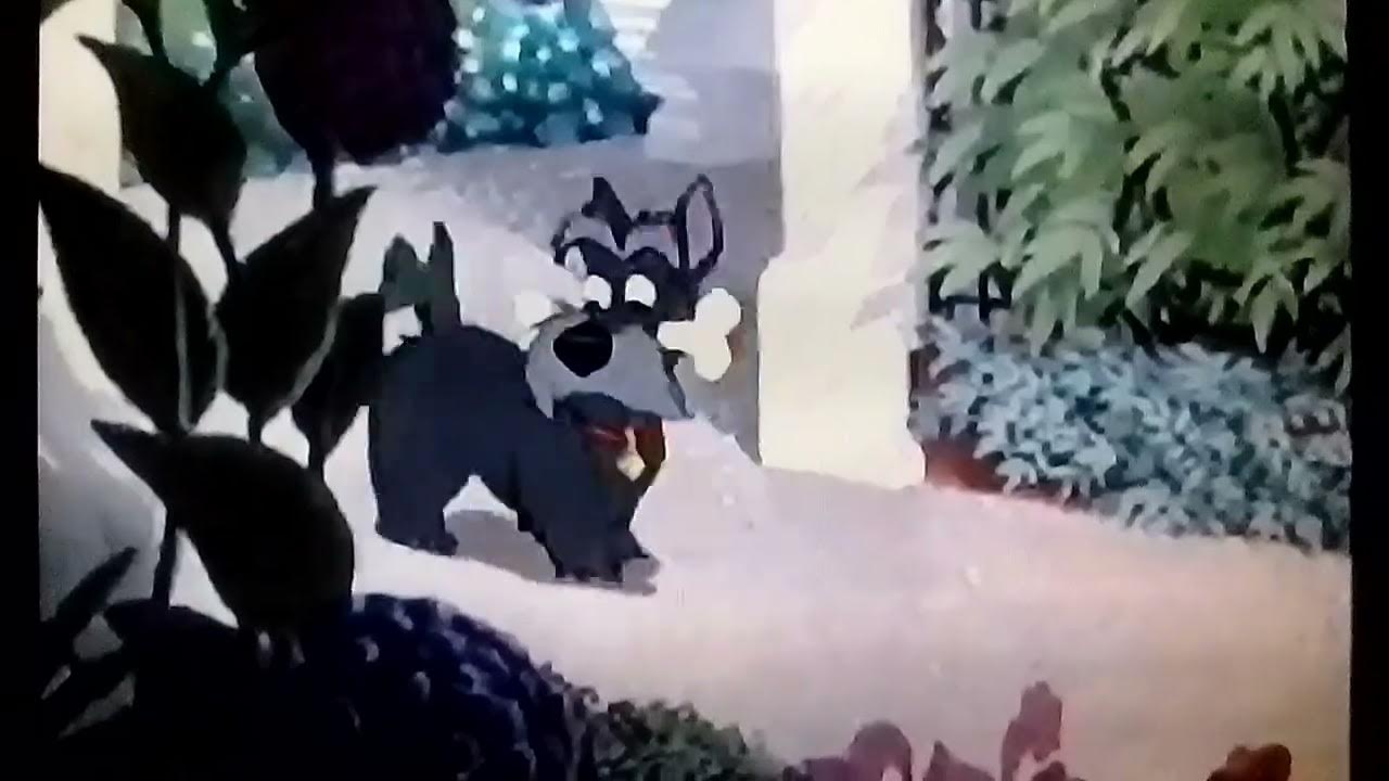 Lady and the Tramp 1955 - Jock's Song Lady and the Tramp 1955 - Jock's Song
