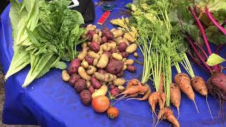 Teets’ Treats 2021 harvest video