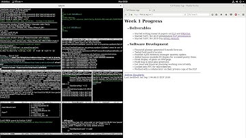 Free Life Planner Pioneer Week 1 Progress Report Video