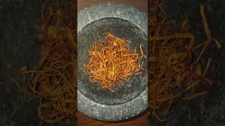 Cordyceps is amazing ?find it on  mushroom cordyceps short