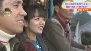 伊原六花 奈良 東大寺 巡り 伊原六花 検索動画12 伊原六花 奈良 東大寺 巡り 伊原六花 検索動画 12