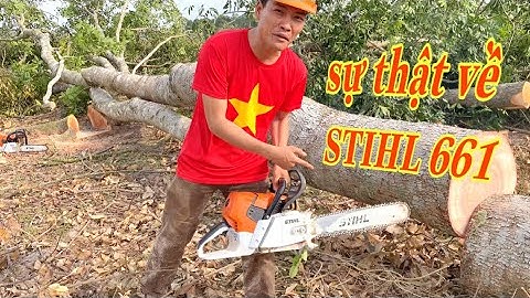 sự thật về dòng máy cưa cây STIHL M/s 661(the truth about stihl m/s 661 in vietnam) hoai han vlog