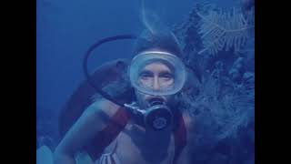 Scuba Woman And Moray Eel 1995