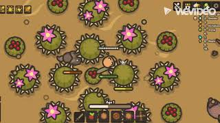 Epic taming io game at school