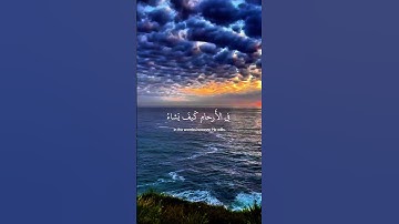 خشوع لا يوصف في تلاوة مؤثرة من سورة آل عمران