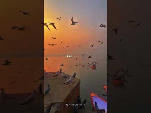 Falak Tak Chal