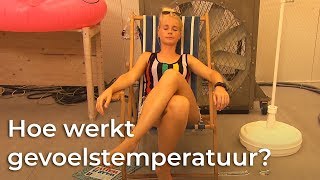 Wat Is Gevoelstemperatuur? Het Klokhuis