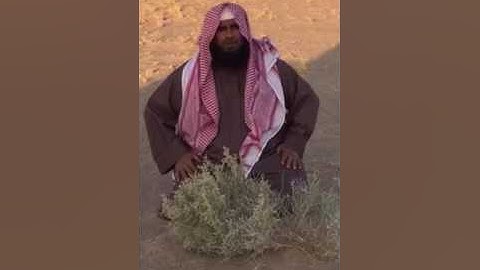 دحيم الحماد تلاوة من ءاخر سورة البقرة ١٤٣٨هـ