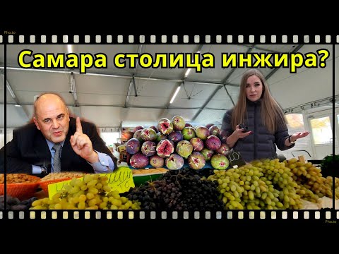 Самара столица инжира?