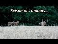 Saison des Amours...