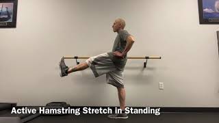 Active Hamstring Stretch in Standing Wealth