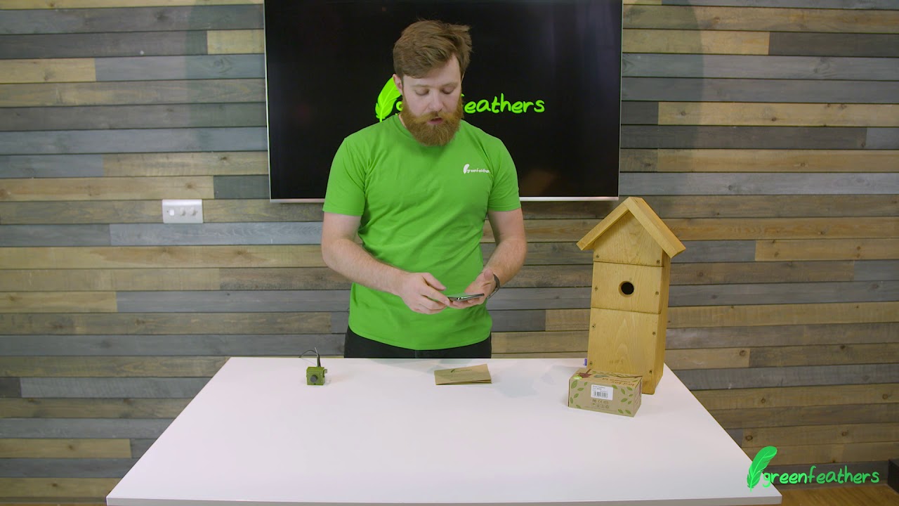 green feathers hd ip bird box camera mobile access