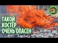 Огромный костёр в деревне. Сожгли все деревья. 209 серия