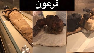 المتحف المصري وزيارة قبر الفرعون !!!