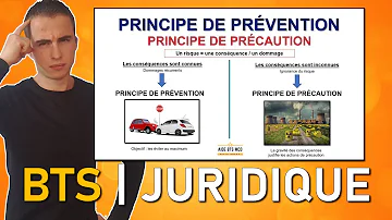 Quelle est la différence entre le principe de prévention et le principe de précaution ?