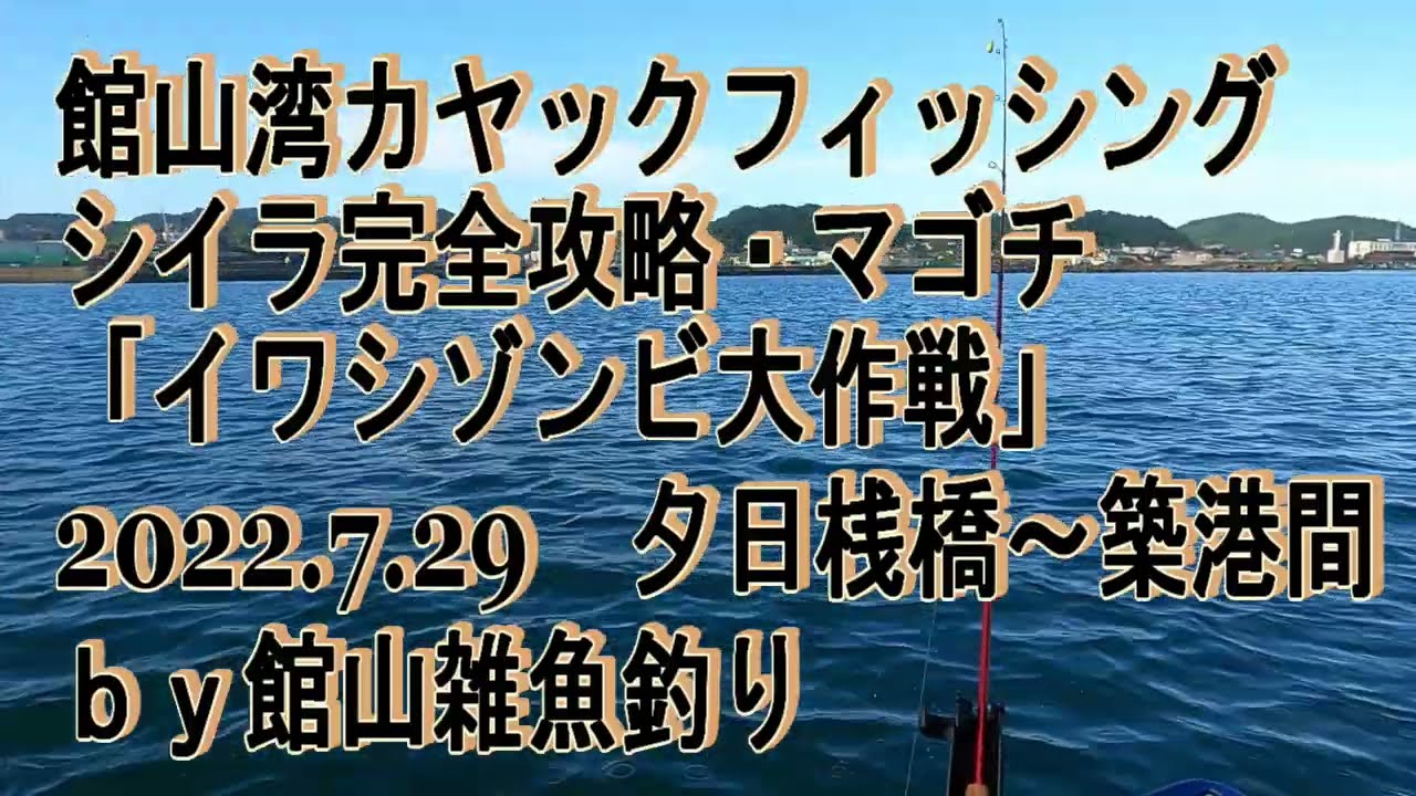 シイラ釣り方完全攻略 22 7 29 館山湾夕日桟橋 シイラ マゴチ カヤックフィッシング Youtube