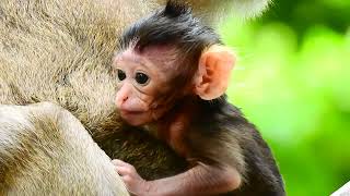 New Updates So Cuteness Adorable Draya Nursing Milk Mother Beautiful Adroable