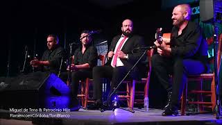 Miguel de Tena, XXIX Noche Flamenca de Zambra