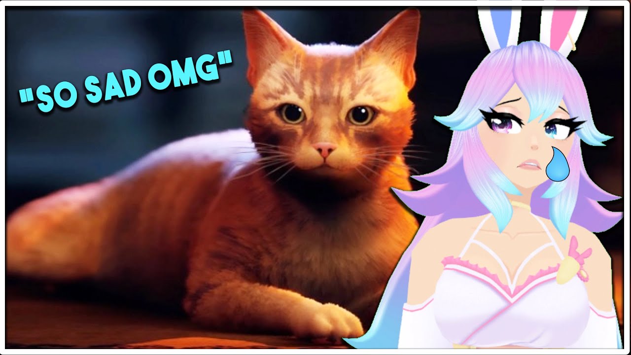 I CRIED SO HARD | Stray