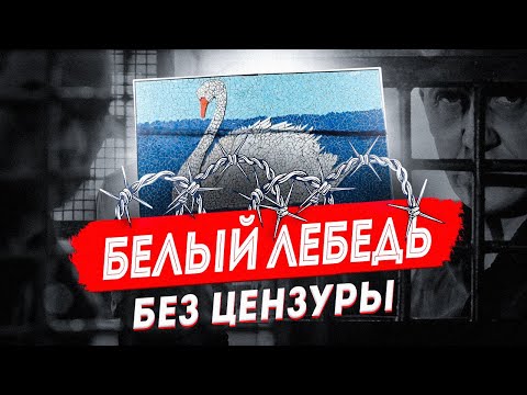 Белый Лебедь Без Цензуры: Про Самую Жесткую Тюрьму Из Первых Уст | Соликамск