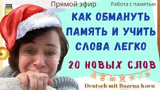 🇩🇪 Продуктивно, быстро и понятно. 20 новых слов и много грамматических лайфхаков