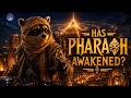 Pharaoh Bass Awakens | Pharaoh Bass Legacy