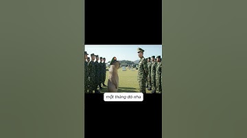 Cách Capy được chào đón trong quân ngũ nước bạn #ongbavaboss