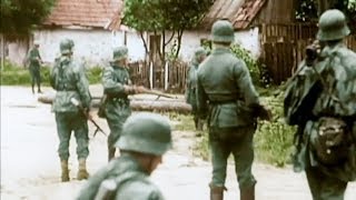 Trận Normandie 1944 - Chiến dịch đổ bộ lớn nhất trong lịch sử [HD]