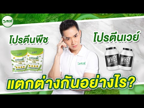 โปรตีนจากพืชธรรมชาติ Vs โปรตีนเวย์ แตกต่างกันอย่างไร l Dmon