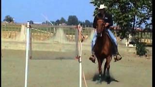 Performance & Reining Gara 9 Settembre 2012