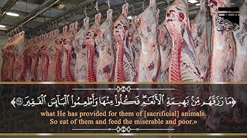 قال تعالى: وأذن في الناس بالحج يأتوك رجالا وعلى كل ضامر يأتين من كل فج عميق - سورة الحج