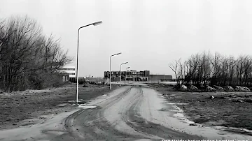 Annie Romein-Verschoorlaan