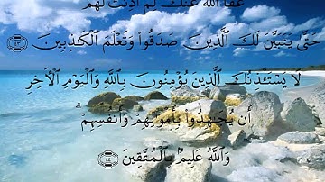 سورة التوبة - ماهر المعيقلي برواية حفص