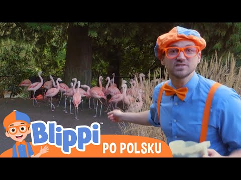 Wycieczka do zoo